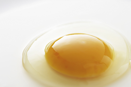 Egg